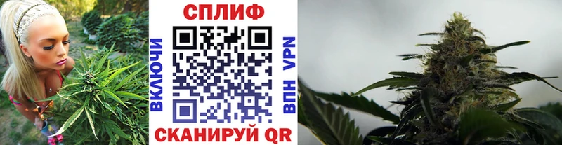 Сколько стоит Бугульма Марихуана  Героин  Гашиш  Галлюциногенные грибы  Alpha PVP  АМФЕТАМИН 
