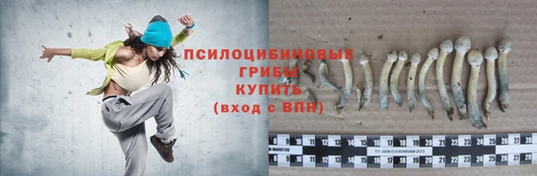 героин Богородицк