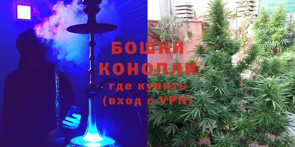 каннабис Богданович