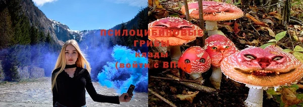 каннабис Богданович
