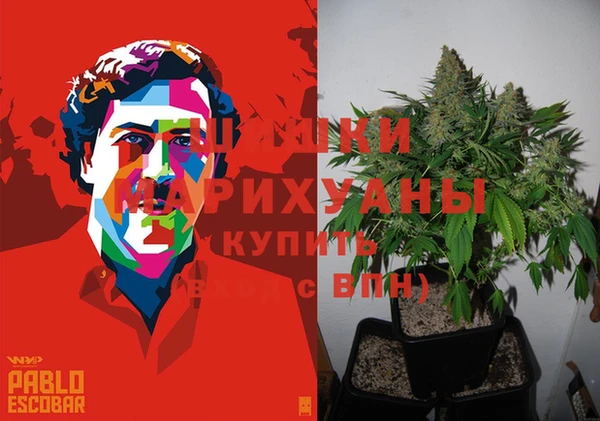 каннабис Богданович