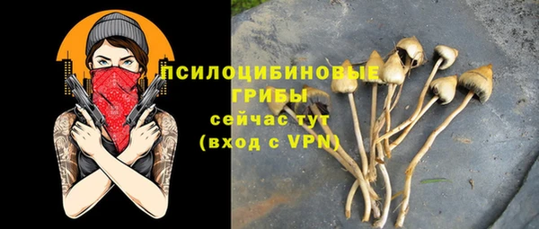 дмт Медвежьегорск